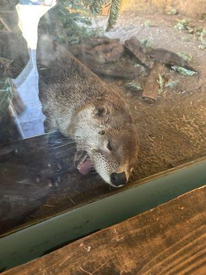 Zoological Society of Milwaukee County