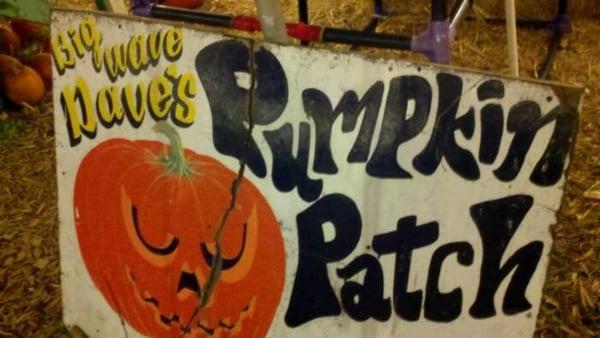 Big Wave Dave's Pumpkin Patch