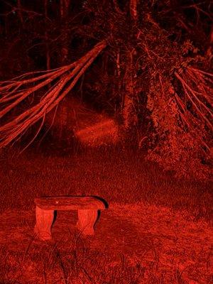 Magnolia Creek Baptist Church