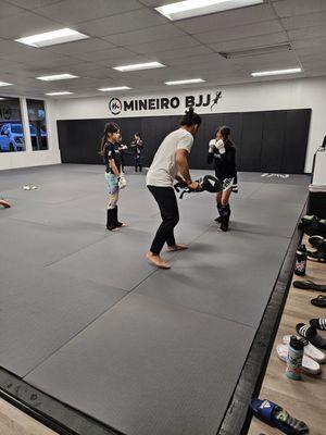 Mineiro Brazilian Jiu jitsu - Alamo