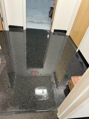 Berrios Cleaning Services