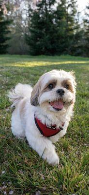 Maria Shayna Photography