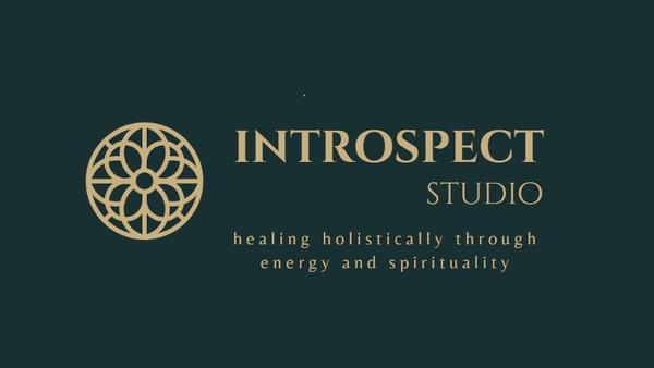 Introspect Studio