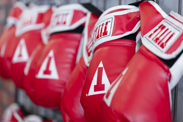 TITLE Boxing Club State Line