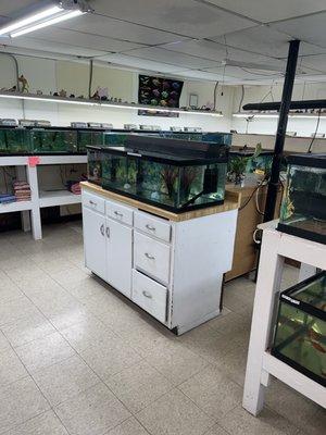 Animal House Pets & Supplies