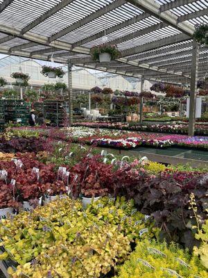 L B Forcellati & Sons