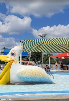 Springdale Aquatic Center