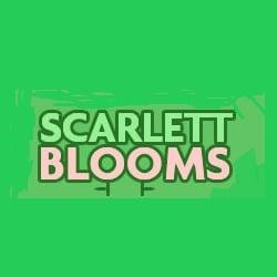 Scarlett Blooms Florist