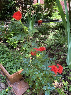 St Augustine Catholic Church