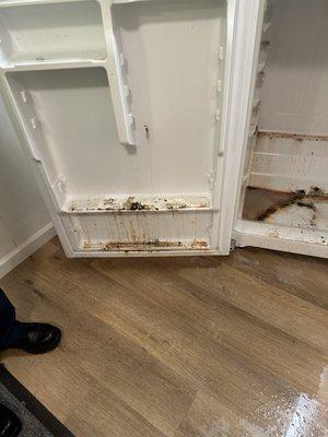 YNC Junk Removal & property preservation