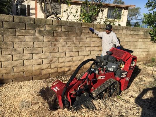 Mazive Tree Service And Landscaping