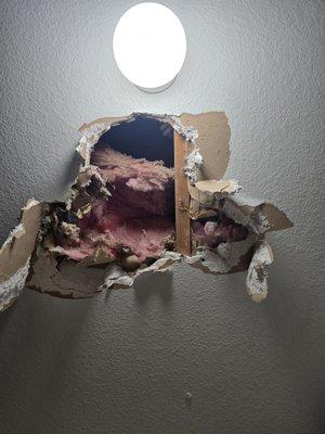 A1 Elite Construction