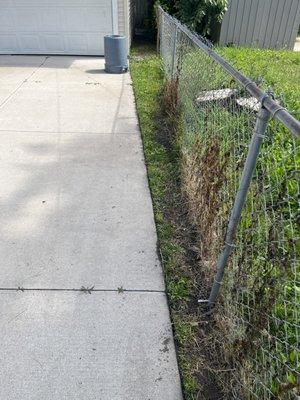 Schwartz Lawn Maintenance