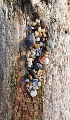 Pewgardens@gmail.com. Horticultural consultation