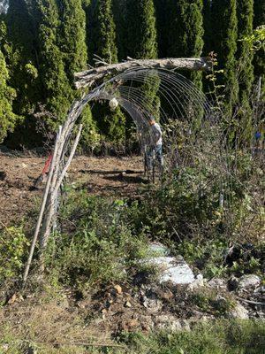 Green Vista landscaping