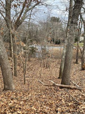 Bush Hill Nature Preserve