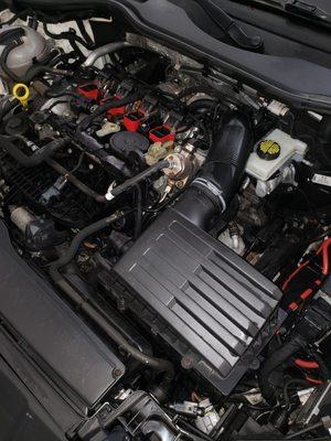 Luxury Detailing Done Right