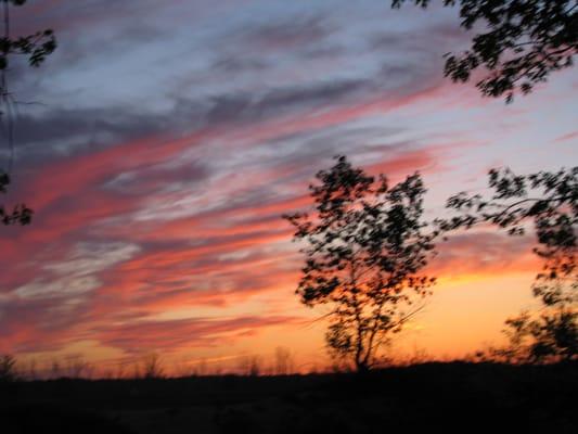 Life is great in the Wilderness