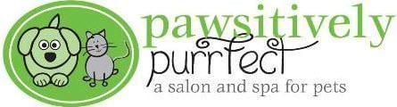Pawsitivley Purrfect Grooming Salon
