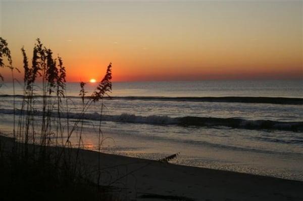 Cheryll Woods-Flowers - Coldwell Banker Realty