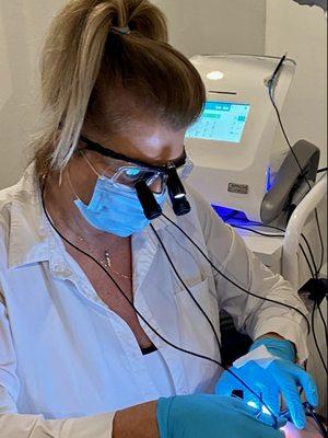 Electric Zoo at Work.