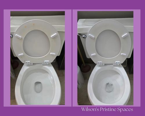 Wilson's Pristine Spaces