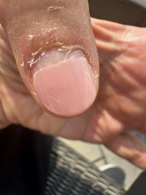 Day 4 Returning from trip / event