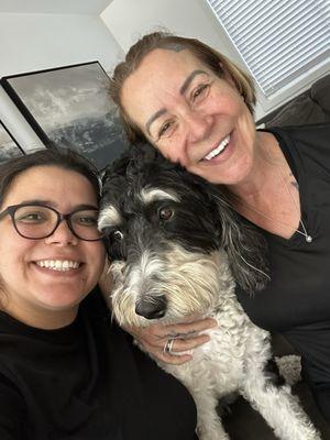 Bee Cleaning Services