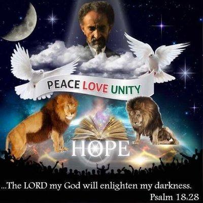 Sean D Clarke Construction Services