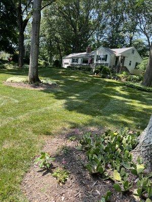 Sanchez Landscape & Masonry