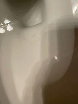 Scratches down by plumber