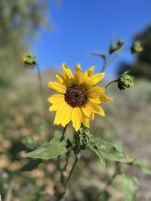 Oak Quarry Golf Club