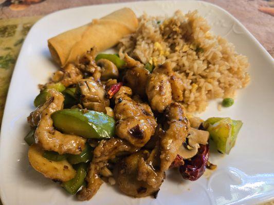 Kung pao chicken, fried rice, and an eggroll on my plate. I ate half for lunch and the other half for dinner.