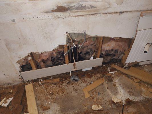 American Repair & maintenance