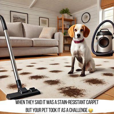 Greenworks Carpet Cleaning