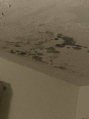 Hometowne Studios Houston - Northwest