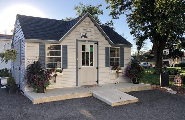 Tanya's Tails and Tangles