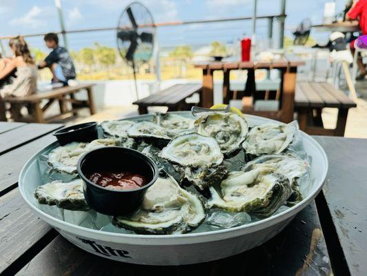 Salt Life Food Shack