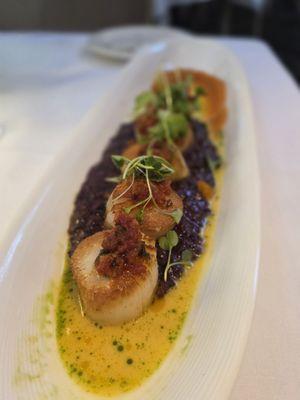 Day Boat Scallops
