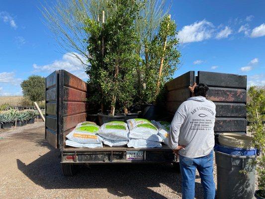 Ram’s Landscaping & Tree Service