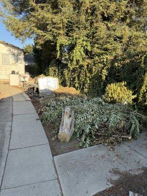 Dominguez Junk Removal & Hauling