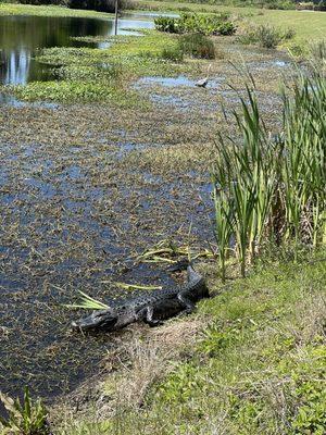 Sweet Water Preserve