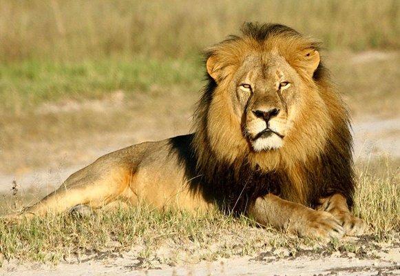 Columbia Auto Collision Center