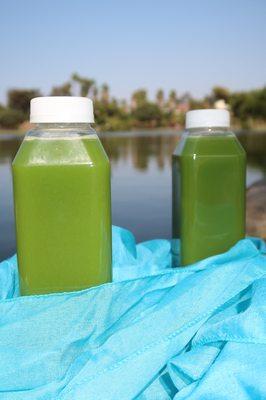 Optimistic Ambitions Photography