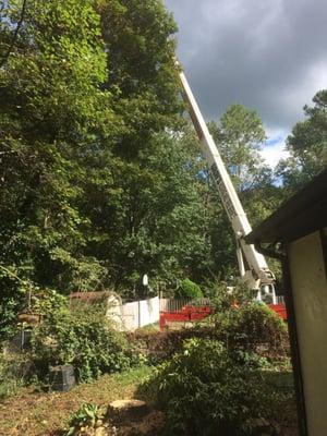 Gray's Roofing and Tree Service