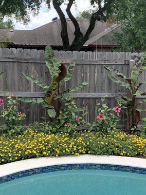 Gulf Coast Pest Control