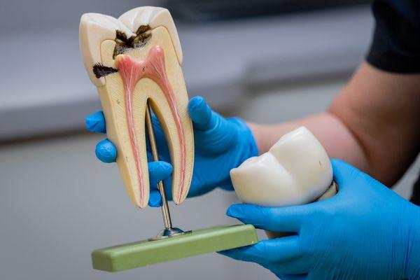 Tooth Family Dentistry