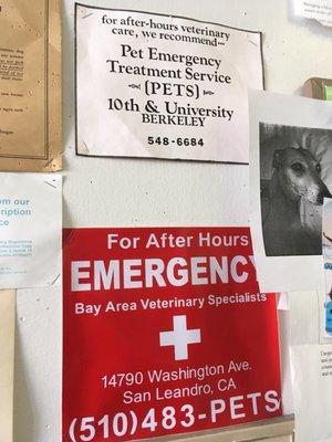 Hillview Pet Hospital