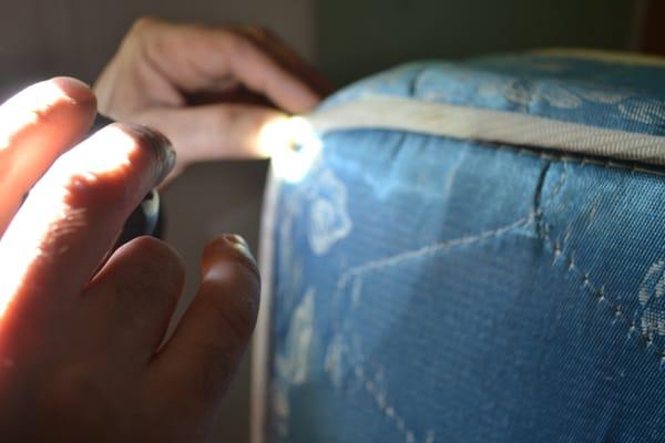 Capitol Pest Control