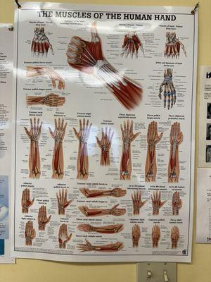 El Cerrito Hand Therapy & Acupuncture